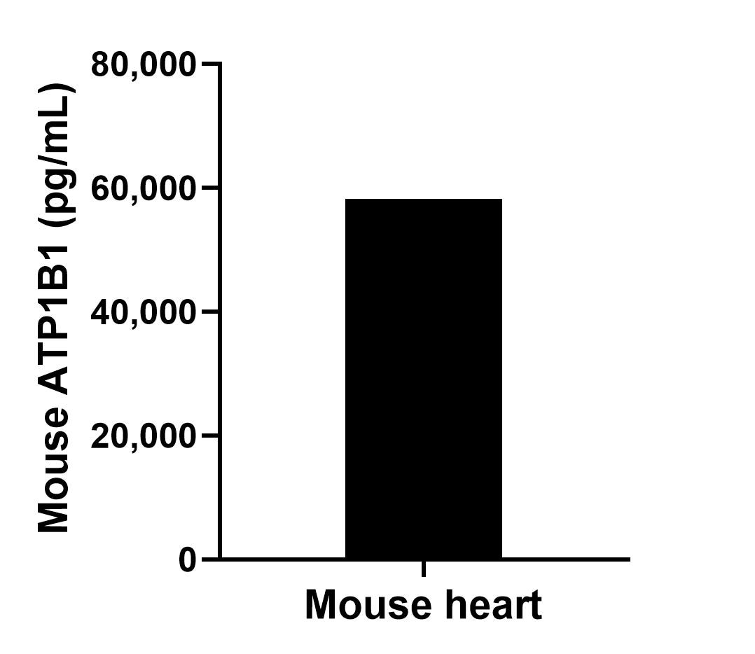 Sample test of MP02193-3