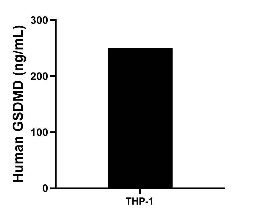 The mean GSDMD concentration was determined to be 250.44 ng/mL in THP-1 cell extract based on a 1.50 mg/mL extract load.