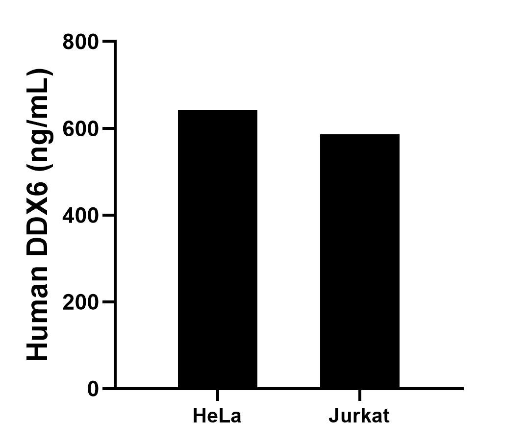Sample test of MP02197-1