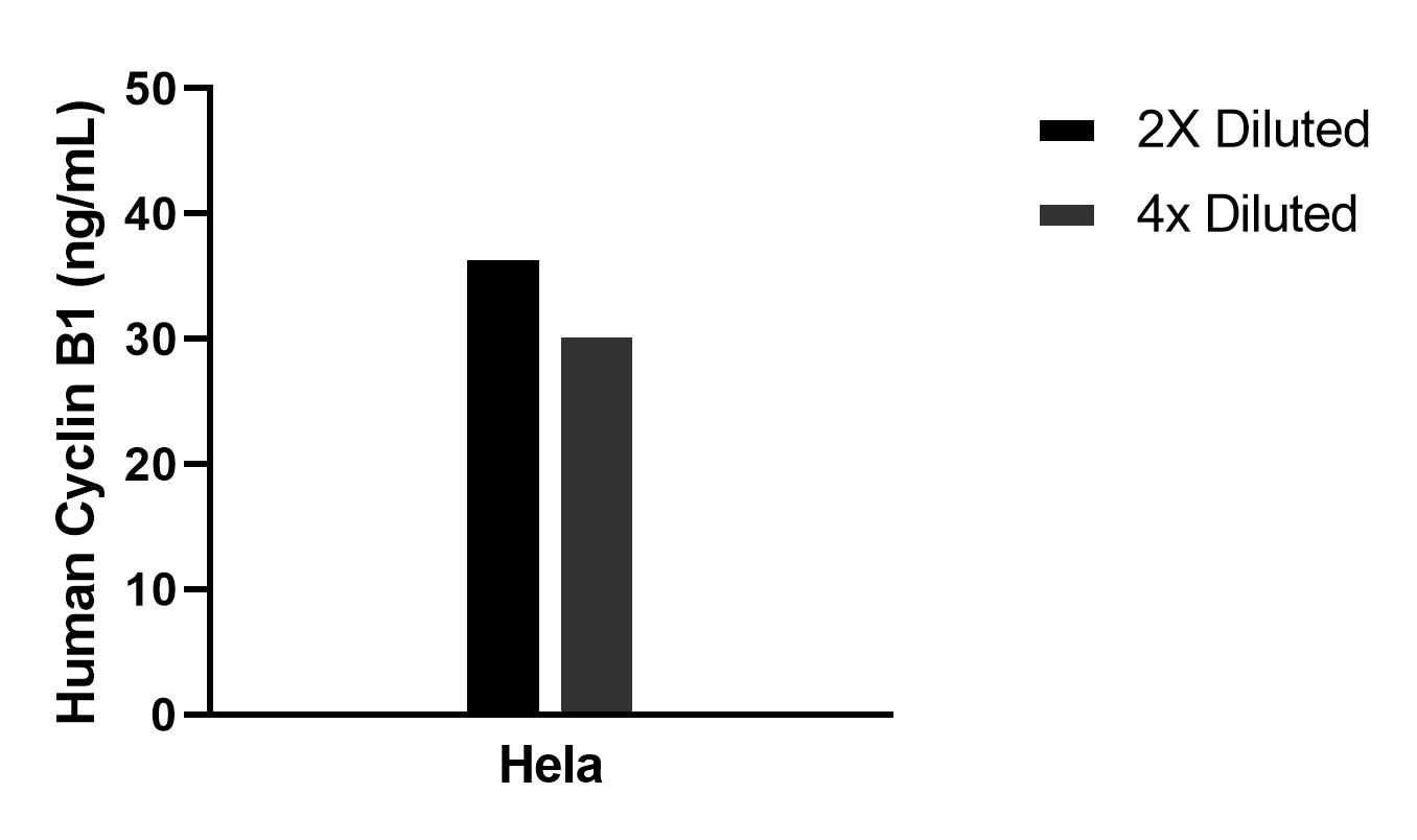 Sample test of MP02202-1