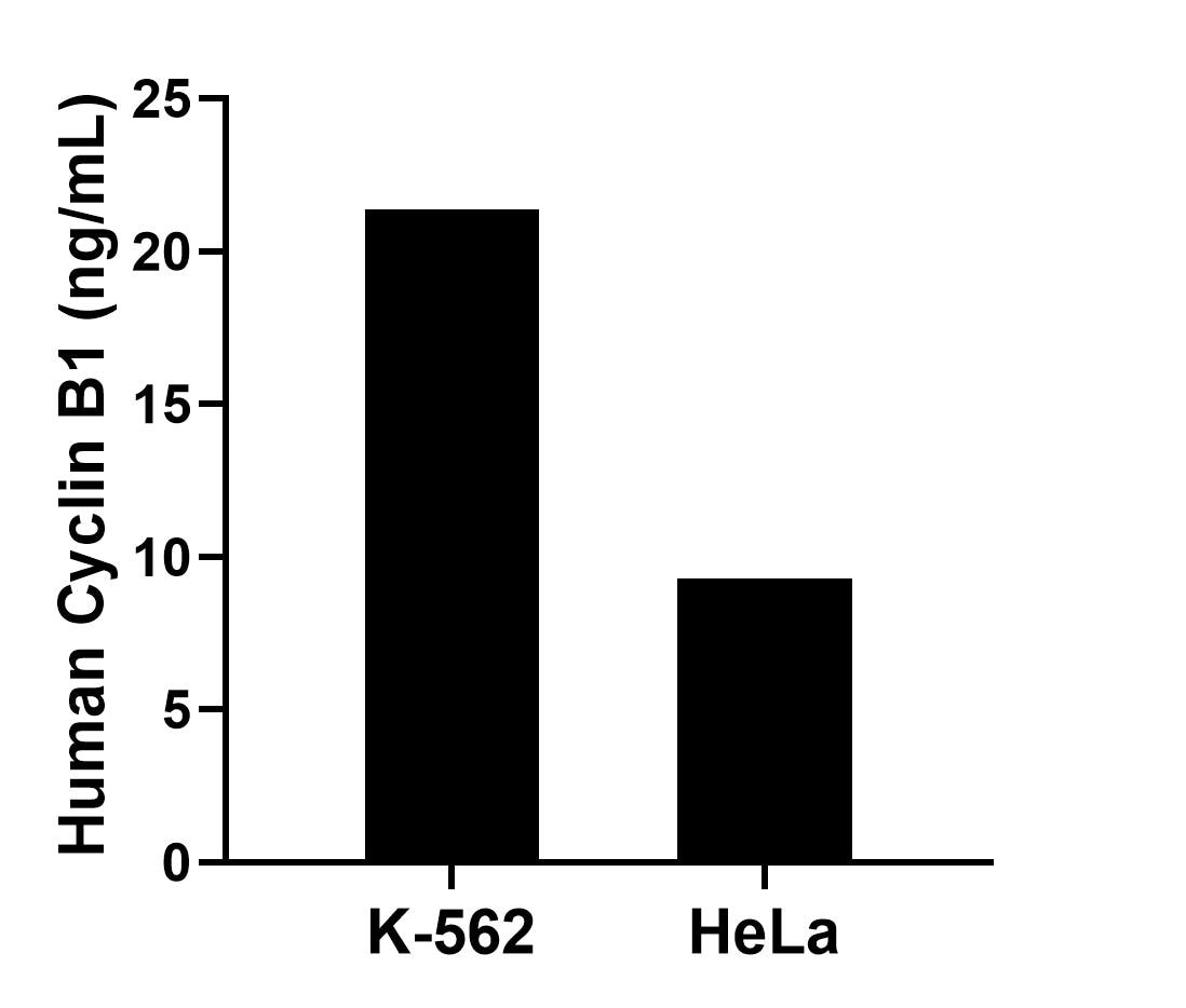 Sample test of MP02202-2
