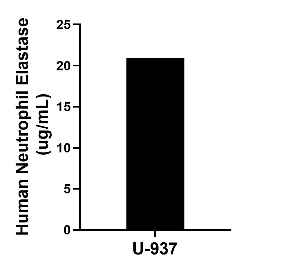 Sample test of MP02206-2