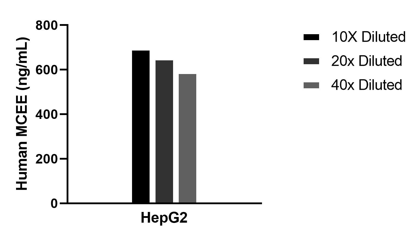 The mean MCEE concentration was determined to be 644.5 ng/mL in HepG2  cell extract based on a 0.9 mg/mL extract load. 