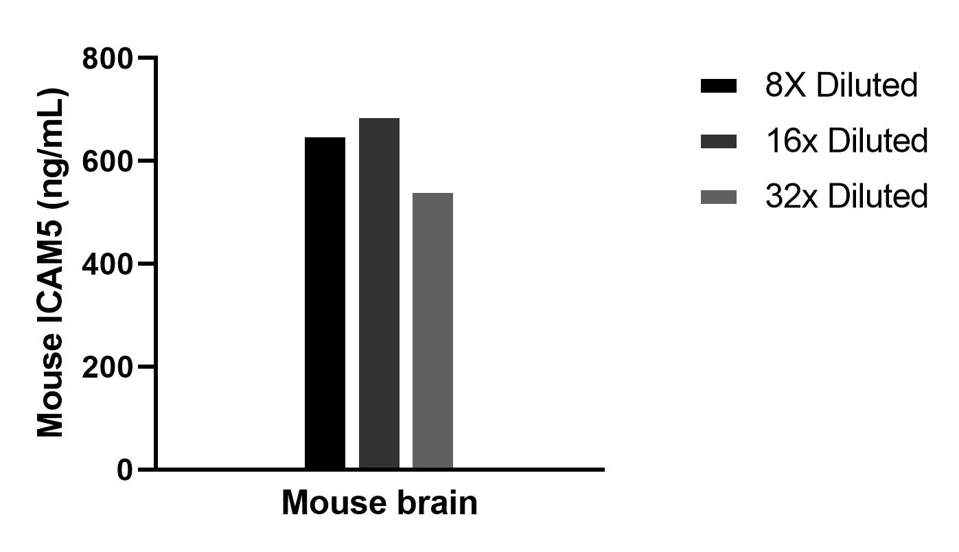 The mean ICAM5 concentration was determined to be 630.0 ng/mL in Mouse brain tissue extract based on a 7 mg/mL extract load.