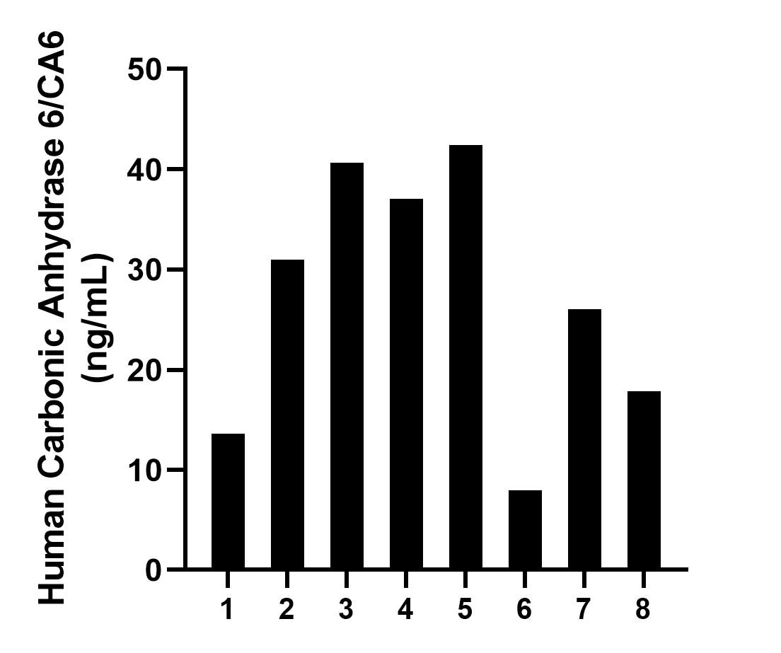 Sample test of MP02211-2