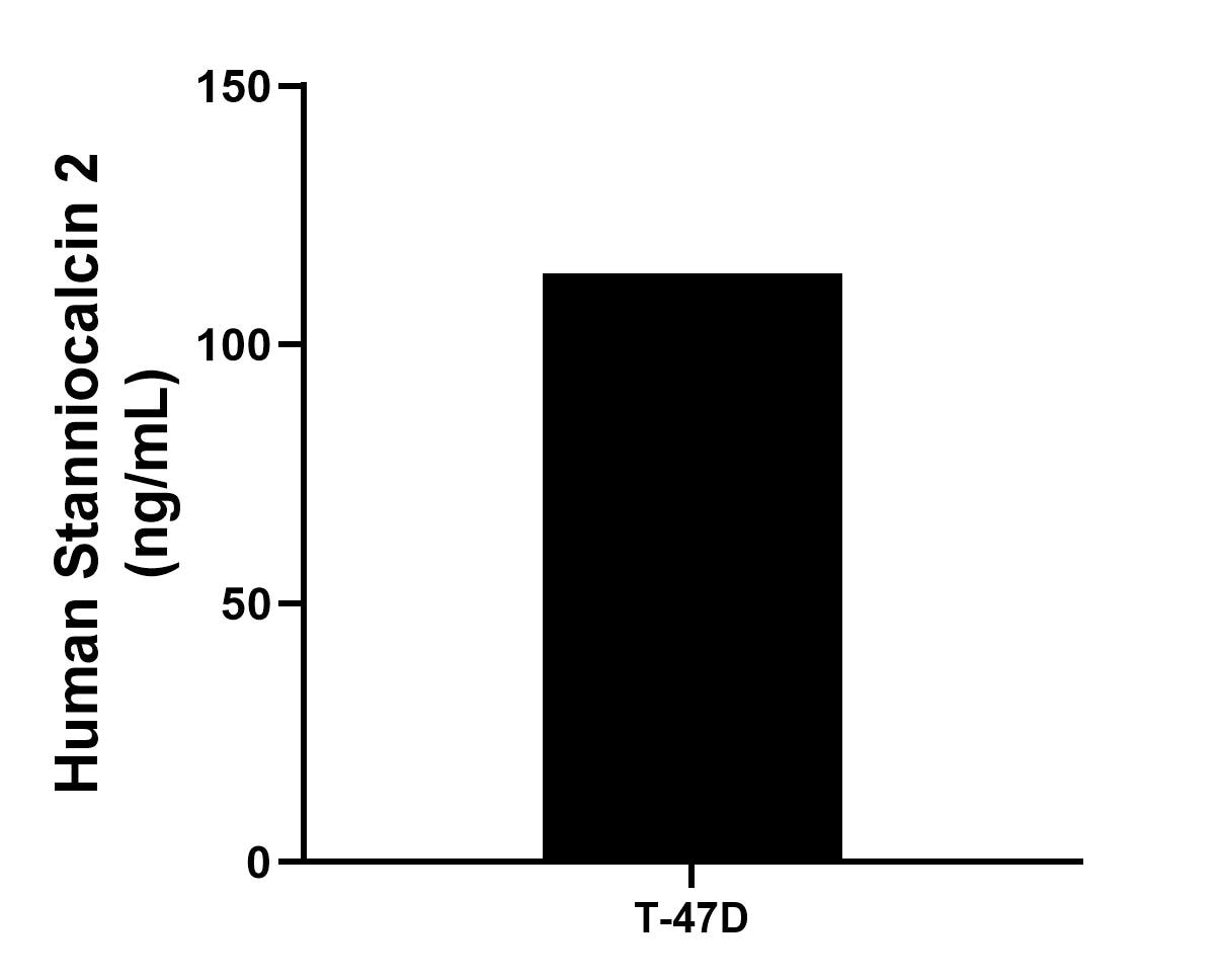 Sample test of MP02212-1