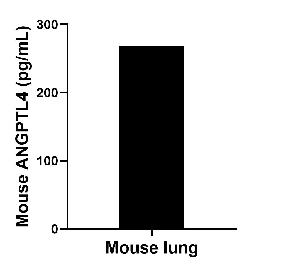 One mouse lung was cultured for 18 hours in RPMI 1640 supplemented with 10% fetal bovine serum, 50 μM β-mercaptoethanol, 2 mM L-glutamine, and 100 μg/mL of streptomycin sulfate. An aliquot of the cell culture supernate was removed, assayed for mouse ANGPTL4, and measured 268.5 pg/mL. Sample test of MP02218-1
