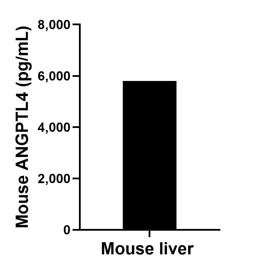 The mean ANGPTL4 concentration was determined to be 5,803.8 pg/mL in mouse liver extract based on a 3.70 mg/mL extract load. Sample test of MP02218-1