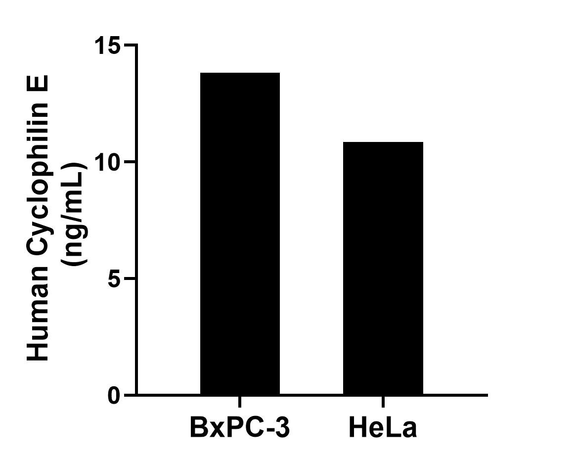 Sample test of MP02219-1