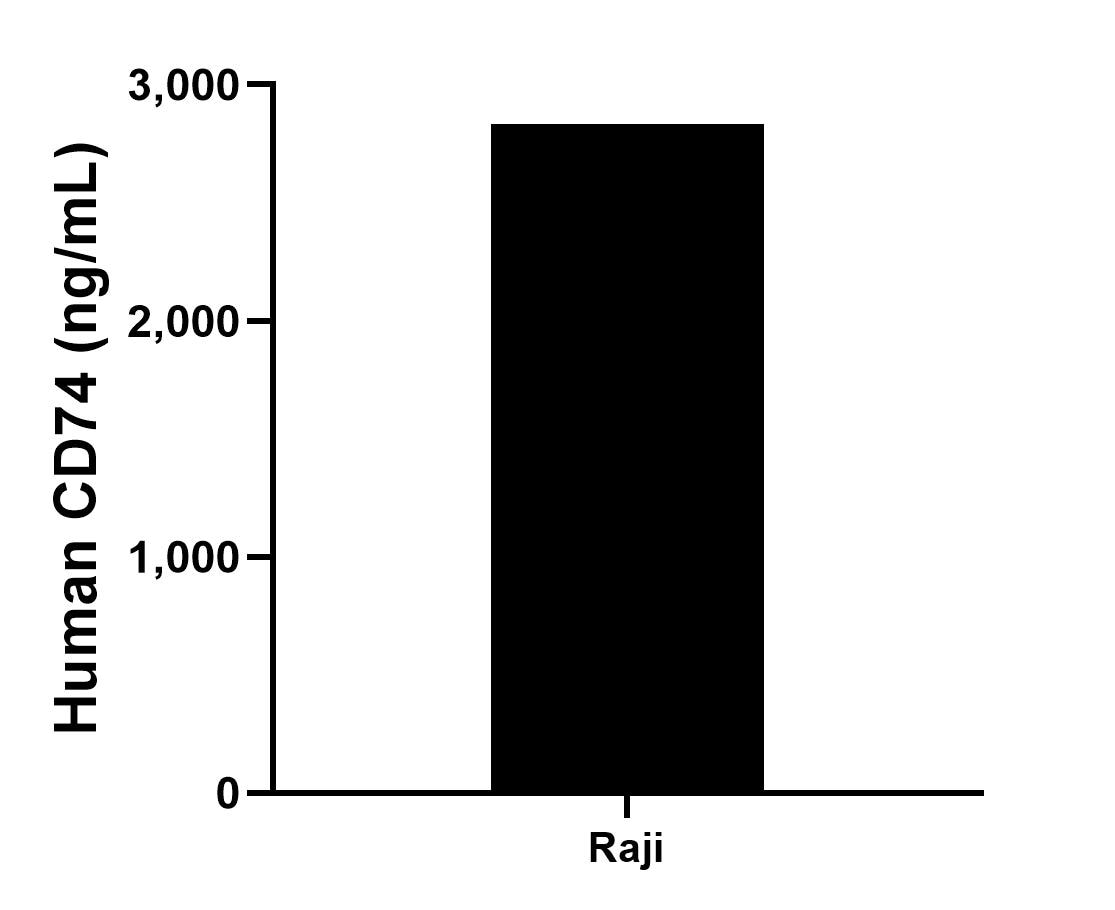 The mean CD74 concentration was determined to be 2,833.0 ng/mL in Raji cell extract based on a 1.8 mg/mL extract load.