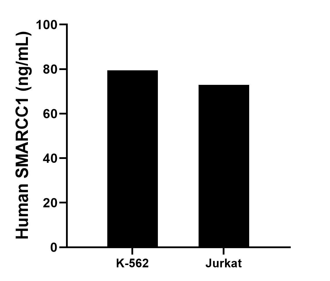 Sample test of MP02222-2