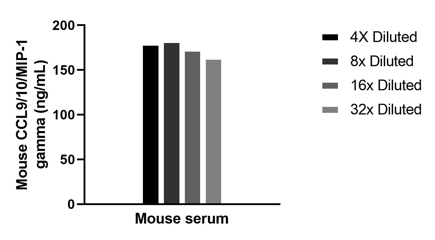 The mean CCL9/10/MIP-1 gamma concentration was determined to be 174.4 ng/mL in mouse serum.