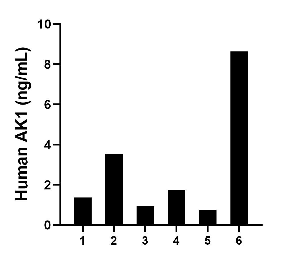 Human milk of six individual healthy human donors was measured. The human AK1 concentration of detected samples was determined to be 2.83 ng/mL with a range of 0.76 - 8.63 ng/mL.