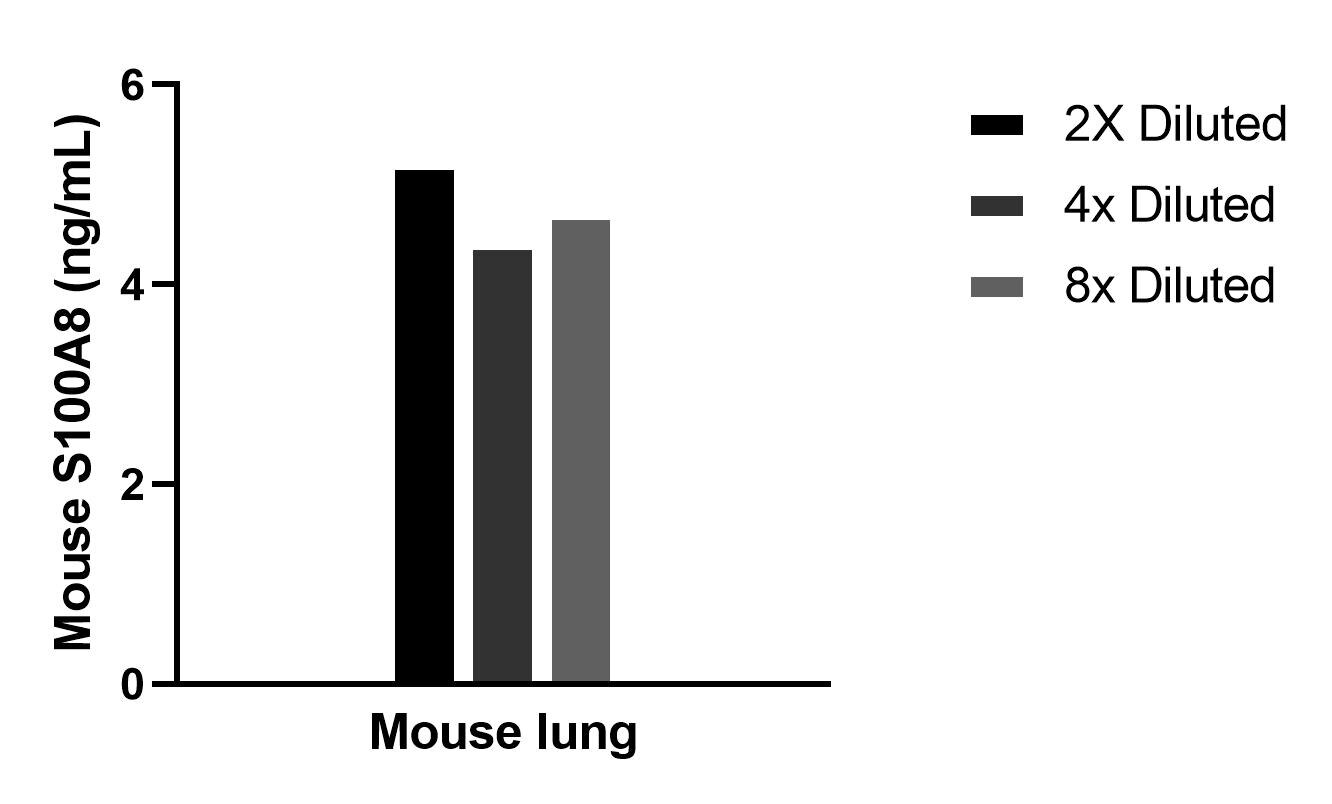 Mouse lung conditioned media cultured in RPMI supplemented with 10% fetal bovine serum was collected after culturing for 5 days. An aliquot of the cell culture supernate was removed, assayed for mouse S100A8 and measured 4.7 ng/mL.