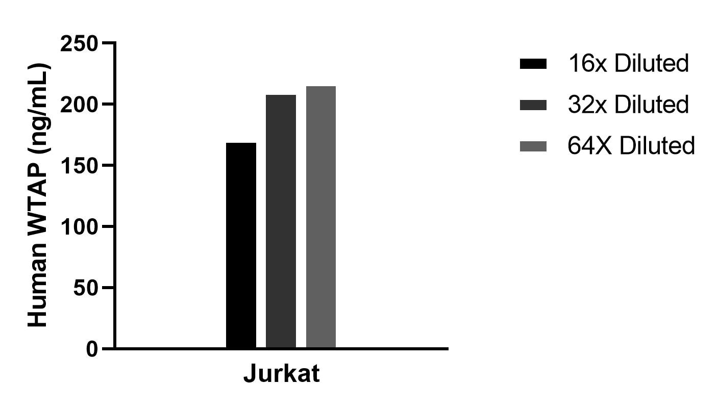 Sample test of MP02241-1