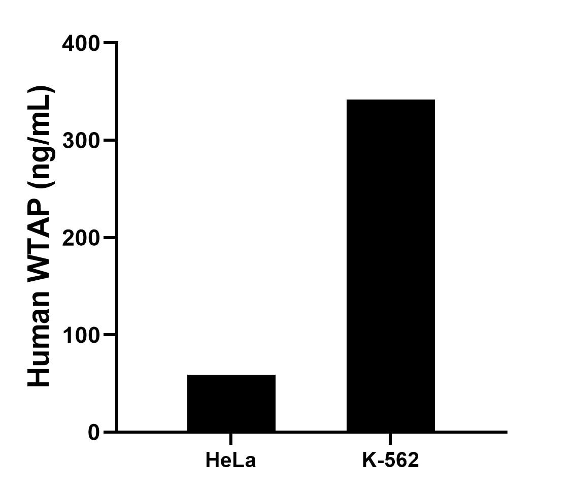 Sample test of MP02241-2