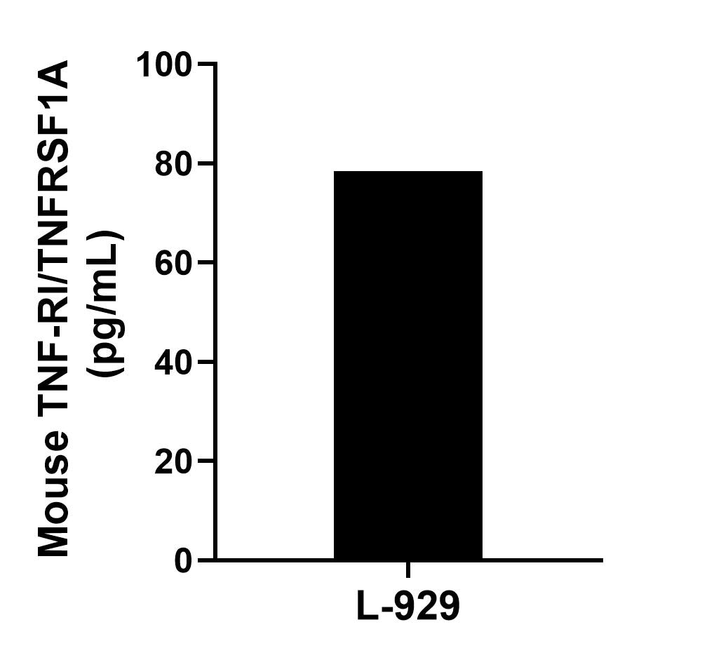 Sample test of MP02243-2