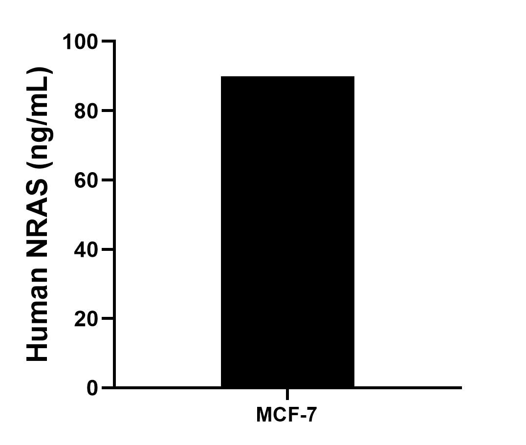 Sample test of MP02246-1