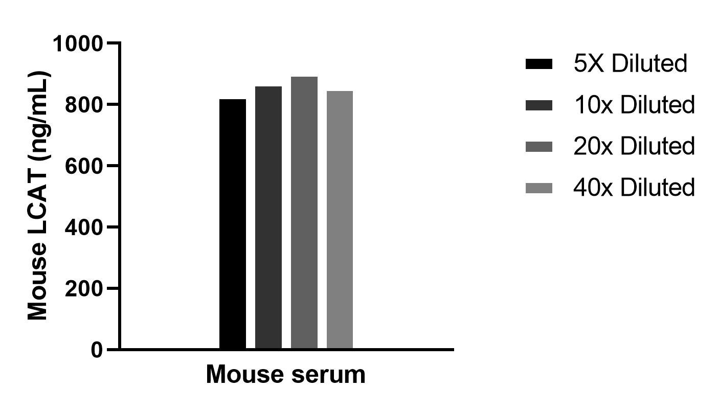 The mean LCAT concentration was determined to be 863.3 ng/mL in mouse serum. Cytometric bead array sample test of MP02258-1