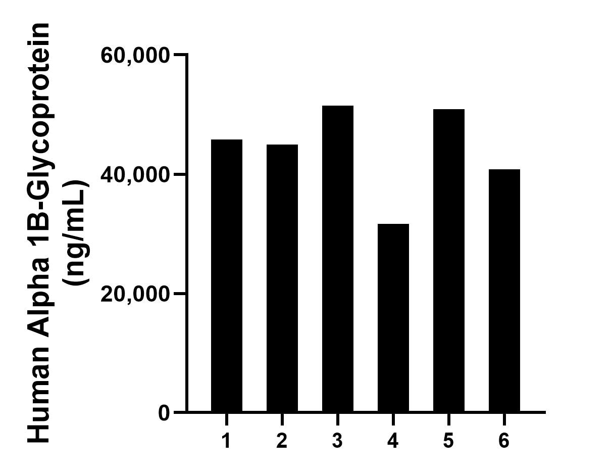 Serum of six individual healthy human donors was measured. The Alpha 1B-Glycoprotein concentration of detected samples was determined to be 44,277.2 ng/mL with a range of 31,684.6-51,508.3 ng/mL.	
