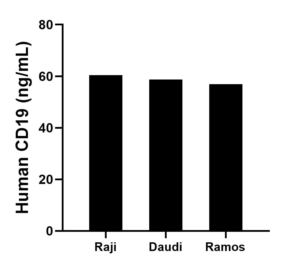 Sample test of MP02270-1