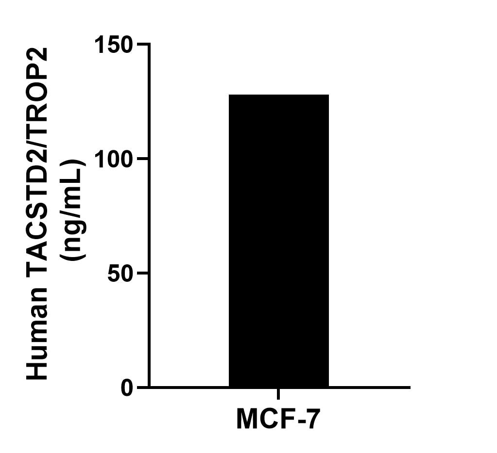 The mean TACSTD2/TROP2 concentration was determined to be 128.1 ng/mL in MCF-7 cell extract based on a 1.3 mg/mL extract load.