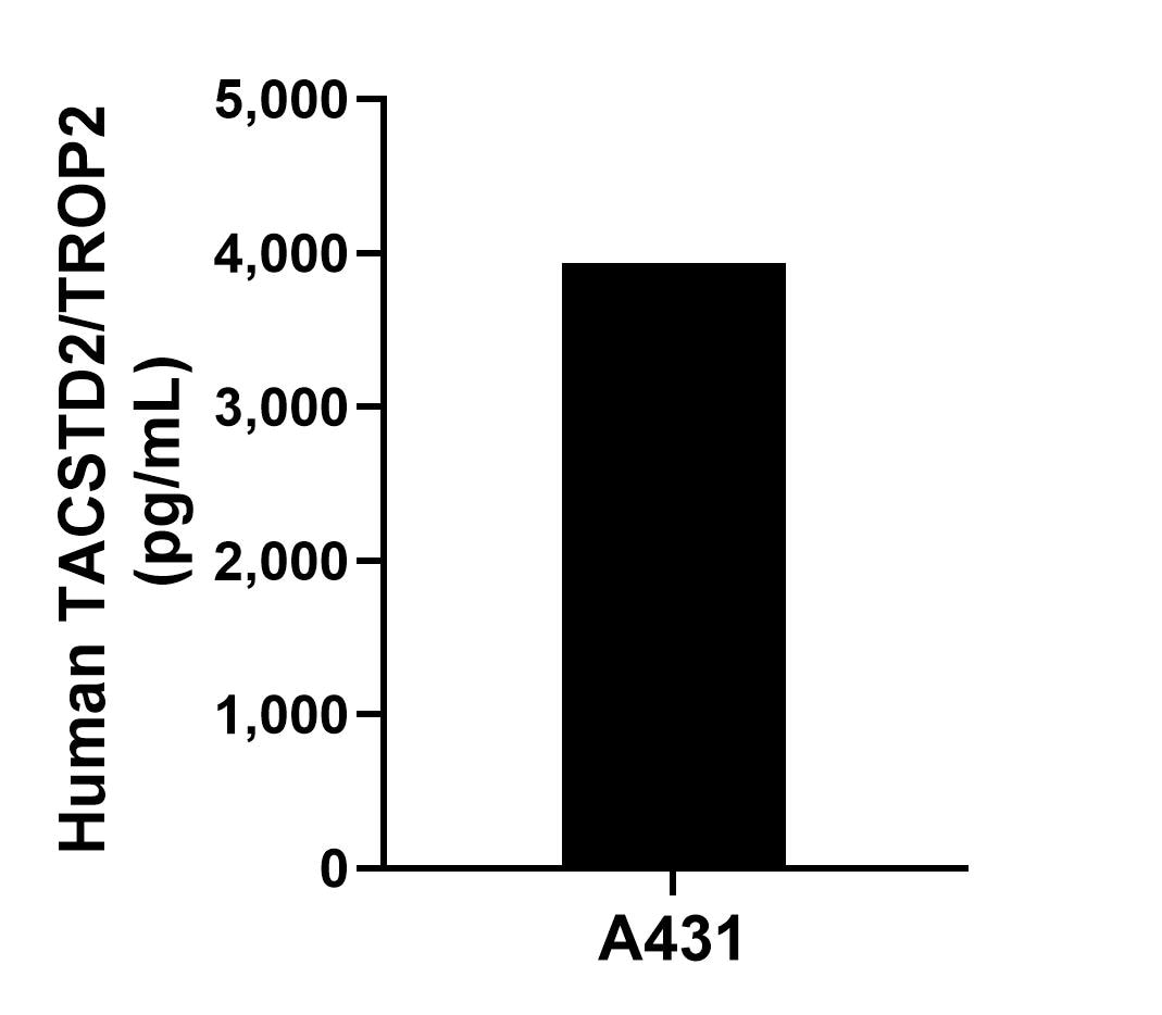 A431 were cultured in DMEM supplemented with 10% fetal bovine serum, 2.5 mM L-glutamine, 100 U/mL penicillin, and 100 μg/mL streptomycin sulfate. An aliquot of the cell culture supernate was removed, assayed for human TACSTD2/TROP2, and measured 3,934.4 pg/mL.
