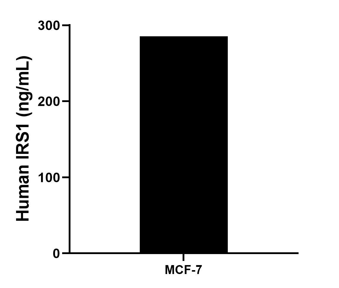 Sample test of MP02273-1