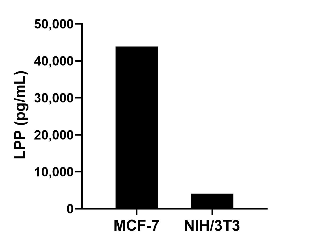 Sample test of MP02282-2