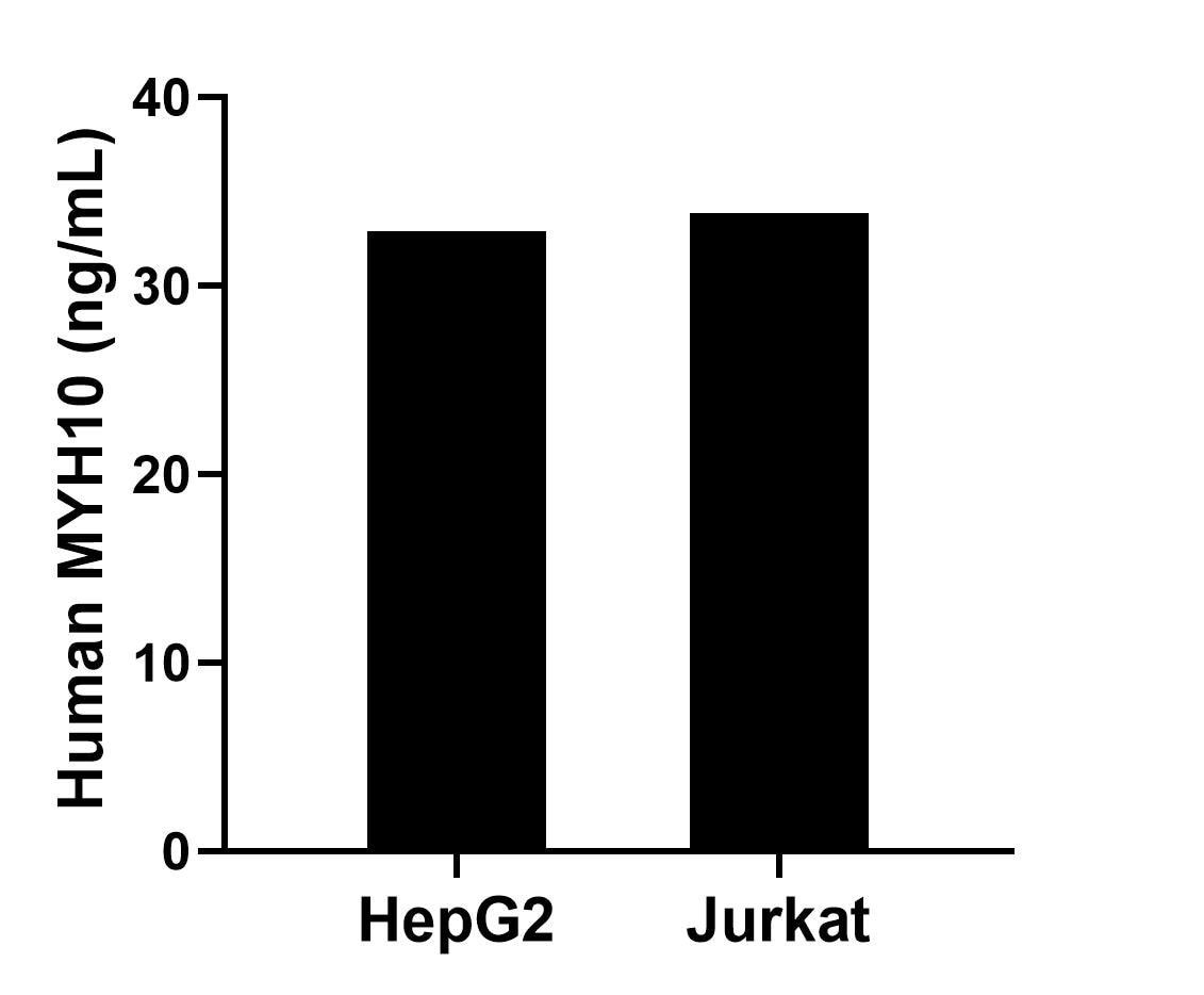 Sample test of MP02284-1