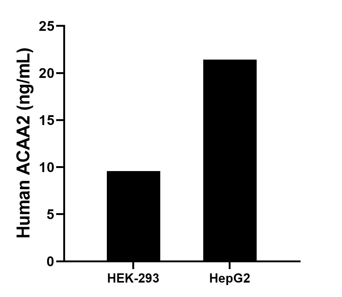 Sample test of MP02290-2