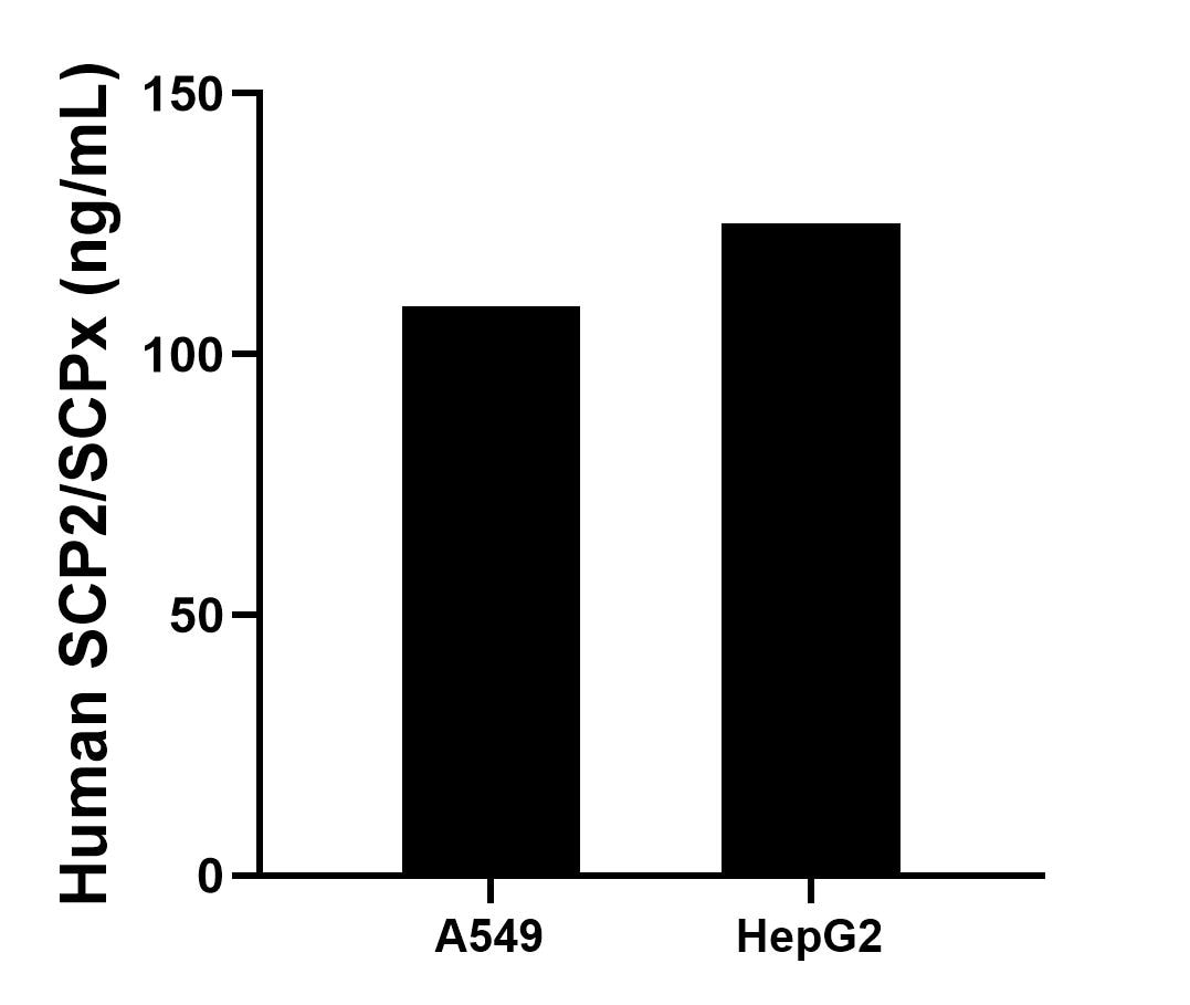Sample test of MP02291-1