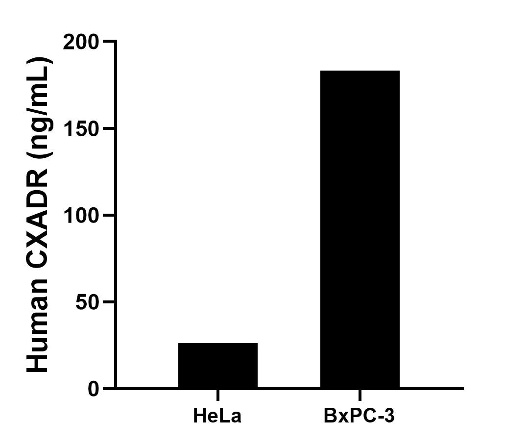 Sample test of MP02296-2