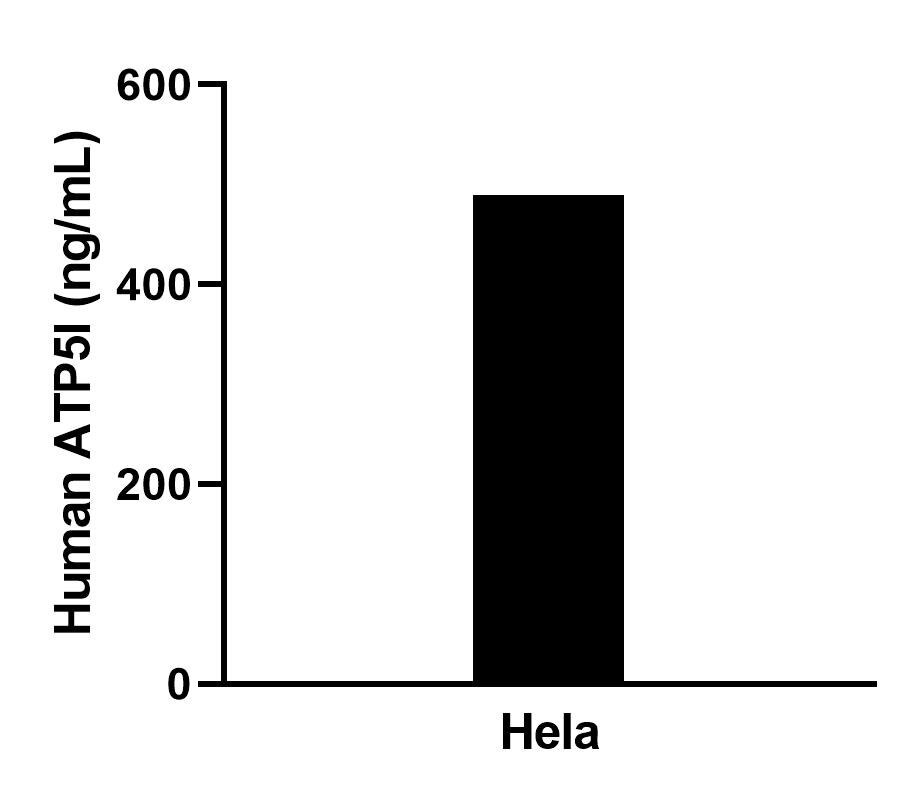 Sample test of MP02299-1