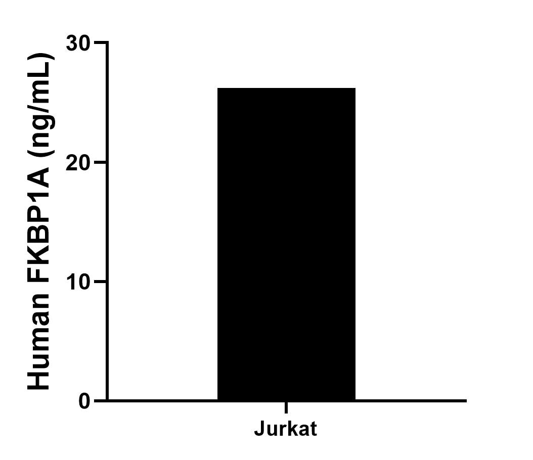 The mean FKBP1A concentration was determined to be 26.2 ng/mL in Jurkat cell extract based on a 1.2 mg/mL extract load.