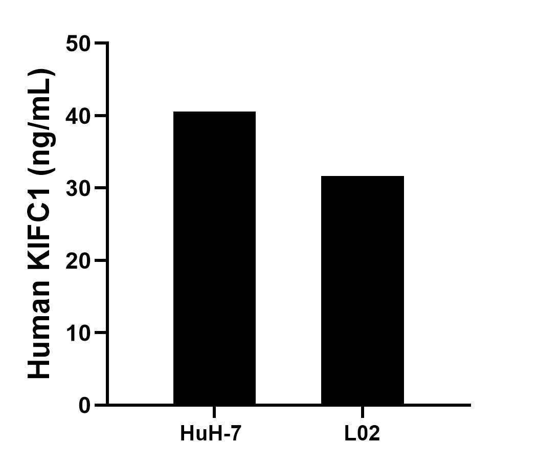 Sample test of MP02316-1