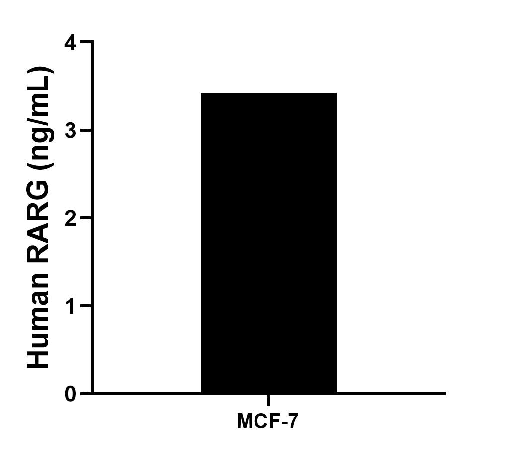 Sample test of MP02317-1