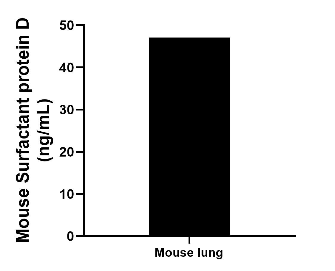 Sample test of MP02322-1