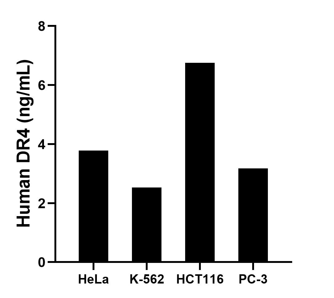 Sample test of MP02323-1