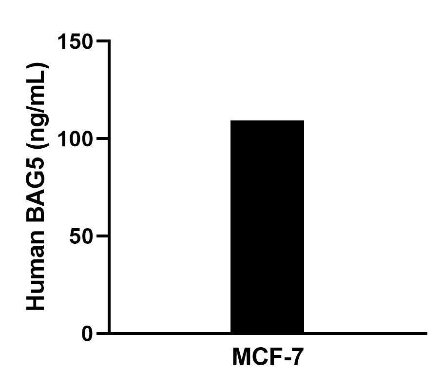 Sample test of MP02328-1