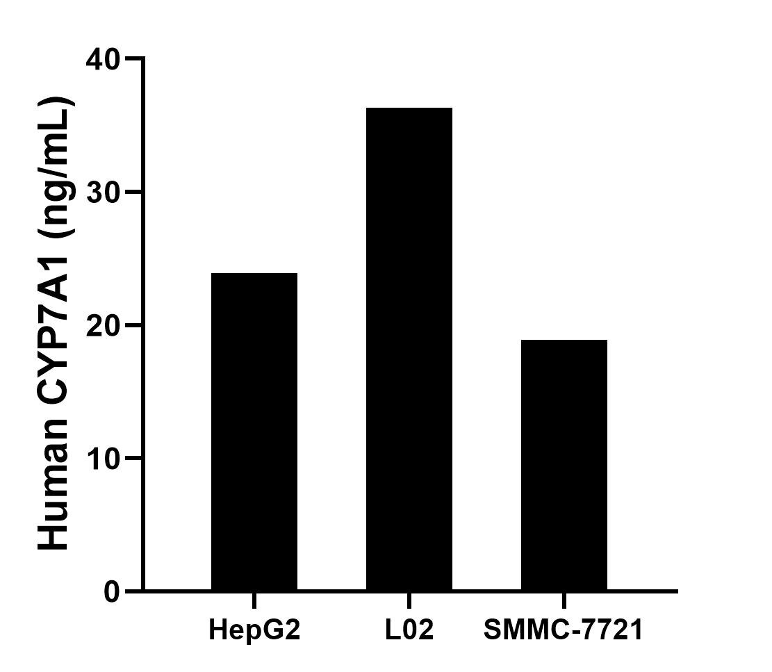 Sample test of MP02333-1