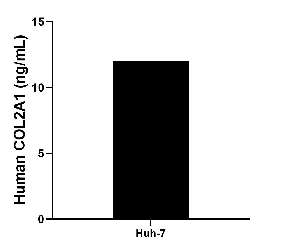 Sample test of MP02337-1
