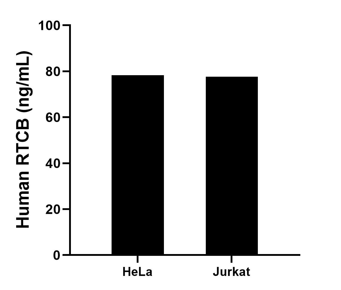 Sample test of MP02340-2