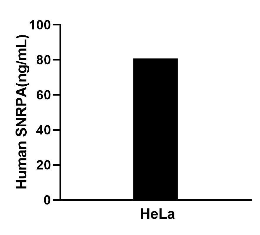 Sample test of MP02344-1