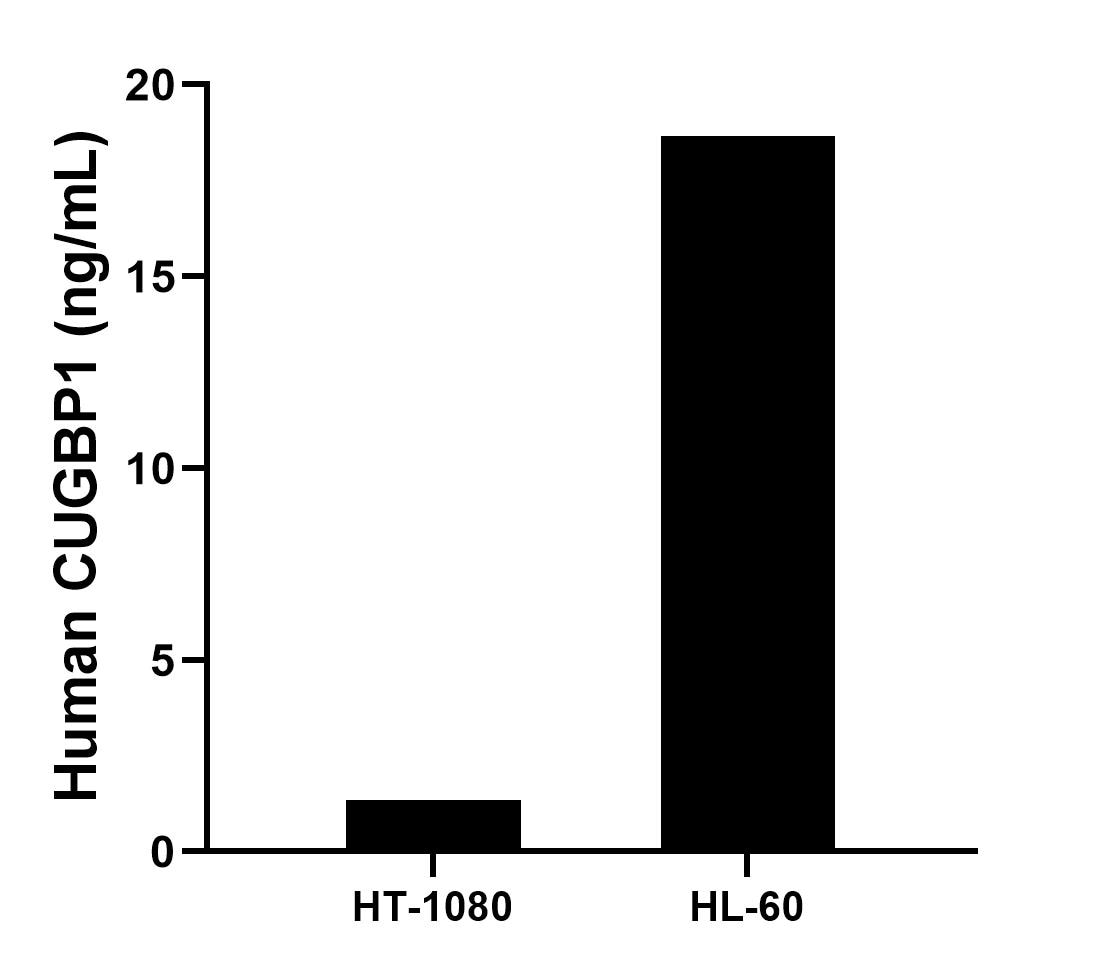 The mean CUGBP1 concentration was determined to be 1.35 ng/mL in HT-1080 cell extract based on a 1.4 mg/mL extract load and 18.67 ng/mL in HL-60 cell extract based on a 3.7 mg/mL extract load.	