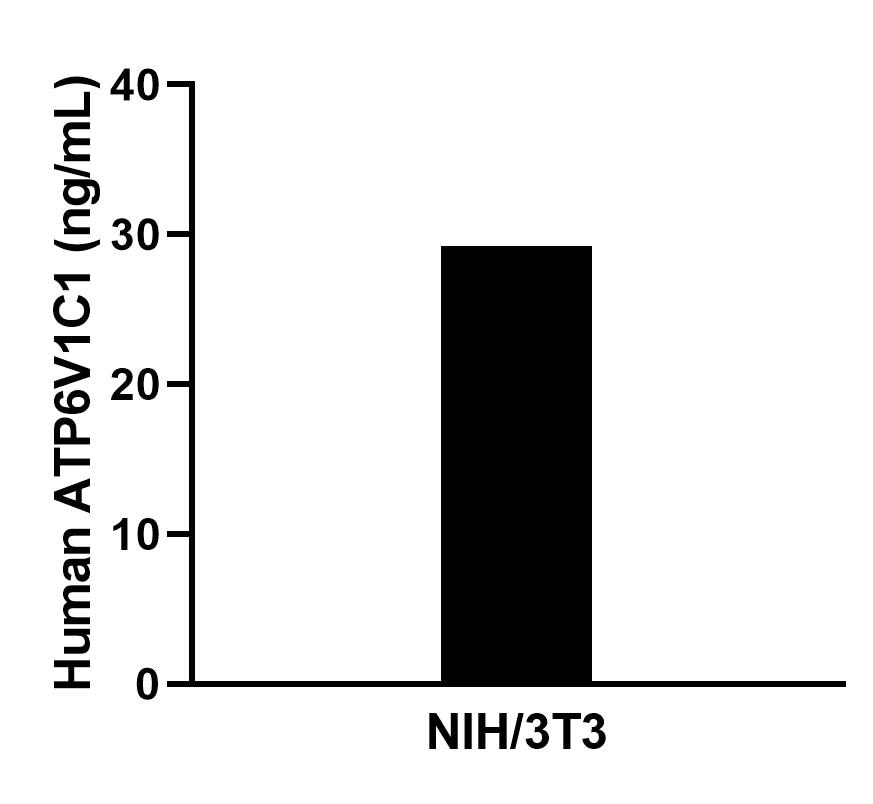 Sample test of MP02350-1