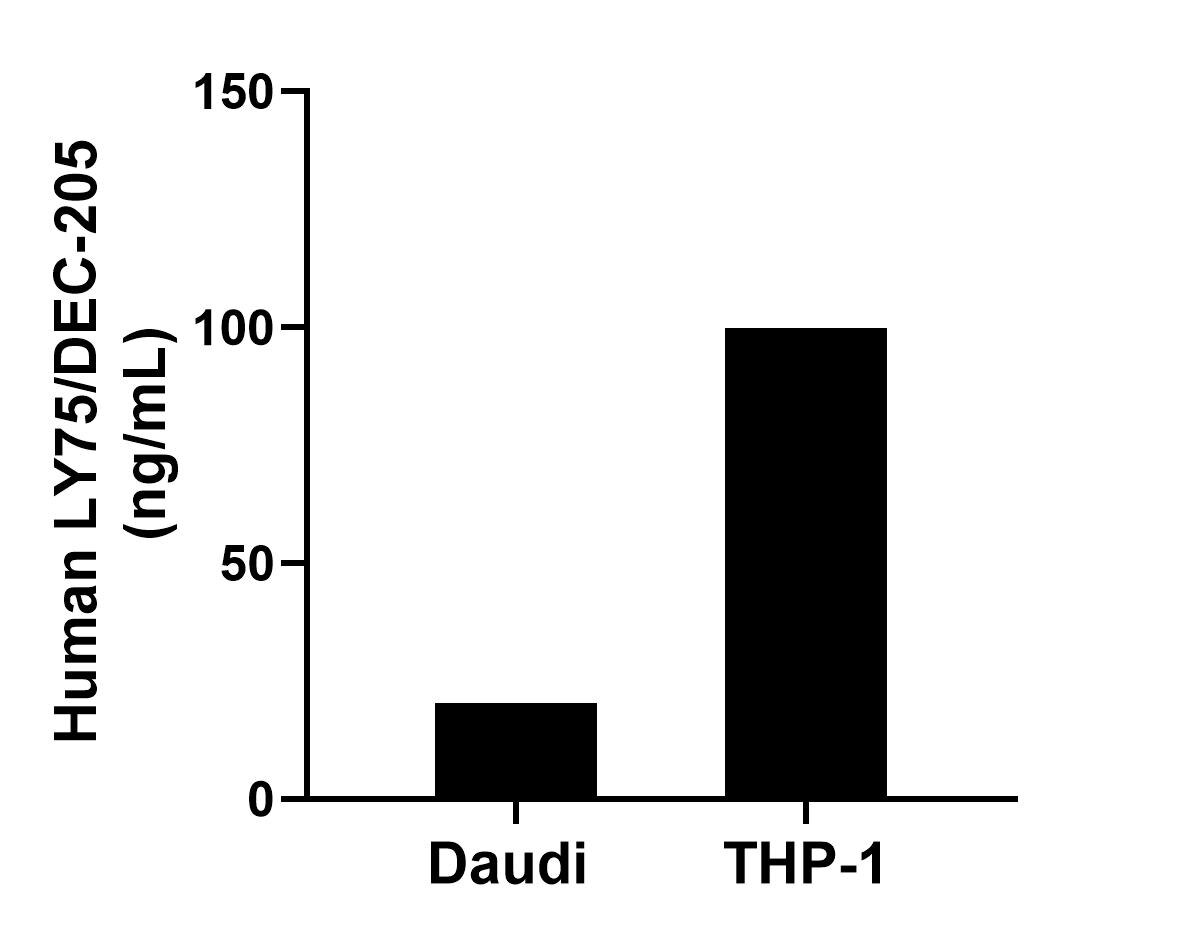 The mean LY75/DEC-205 concentration was determined to be 20.40 ng/mL in Daudi cell extract based on a 1.10 mg/mL extract load and 99.83 ng/mL in THP-1 cell extract based on a 1.20 mg/mL extract load. 