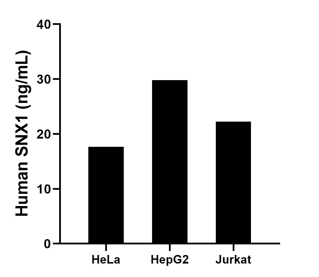 Sample test of MP02365-1