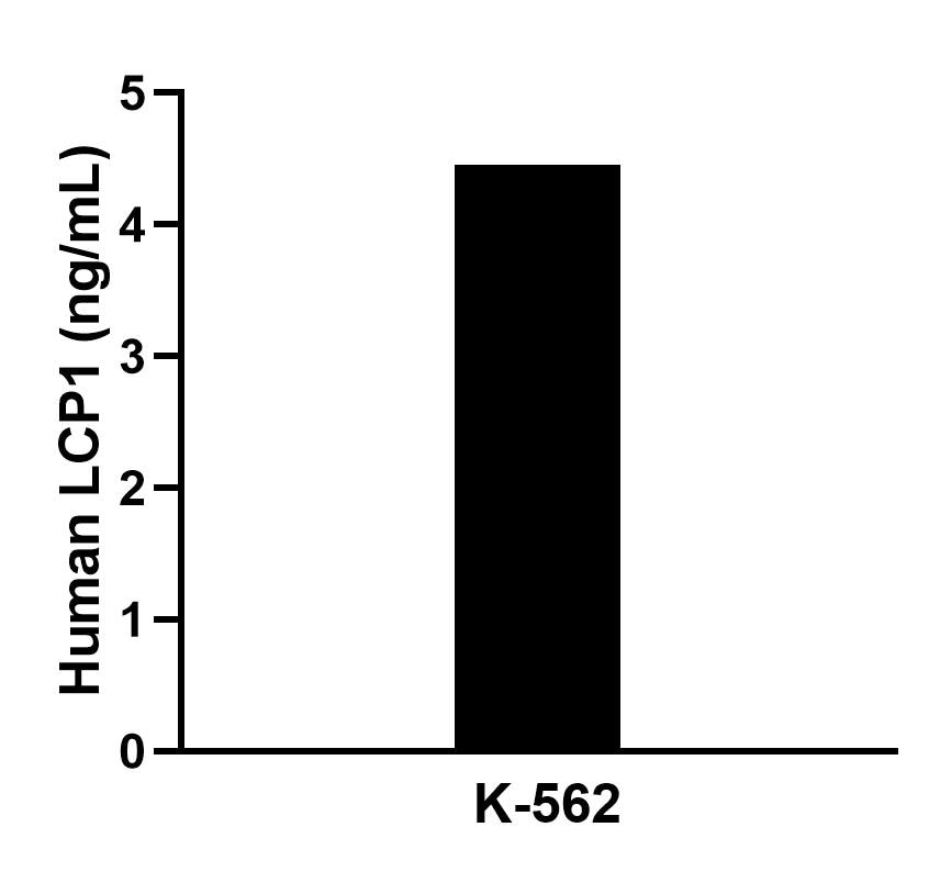Sample test of MP02368-1