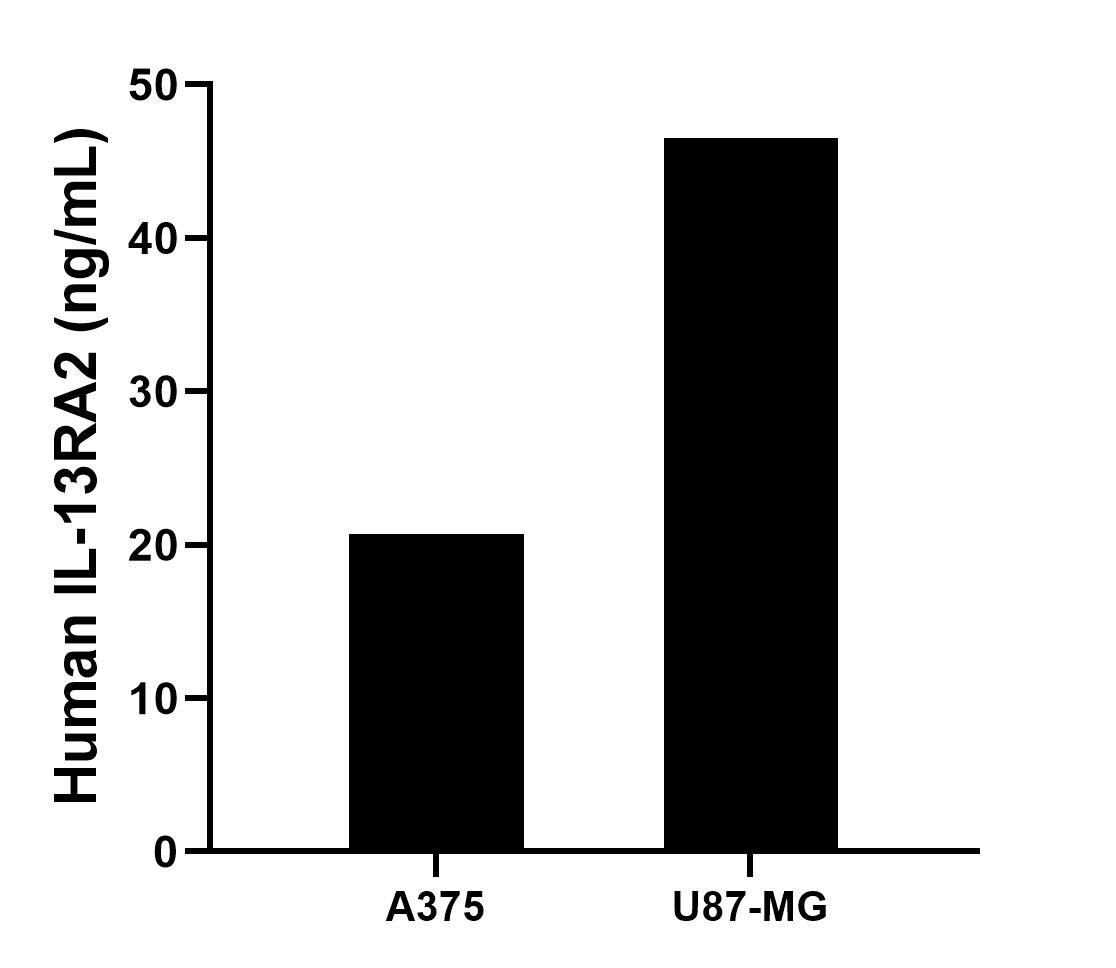 Sample test of MP02369-2